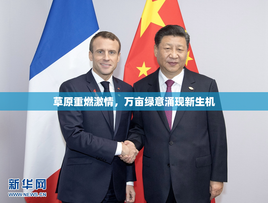 草原重燃激情，万亩绿意涌现新生机