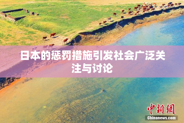 日本的惩罚措施引发社会广泛关注与讨论