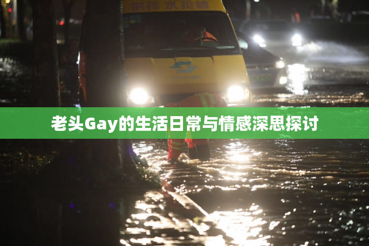 老头Gay的生活日常与情感深思探讨