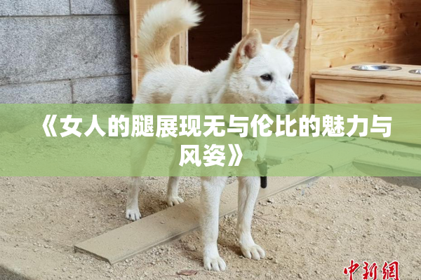 《女人的腿展现无与伦比的魅力与风姿》