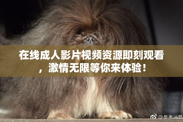 在线成人影片视频资源即刻观看，激情无限等你来体验！