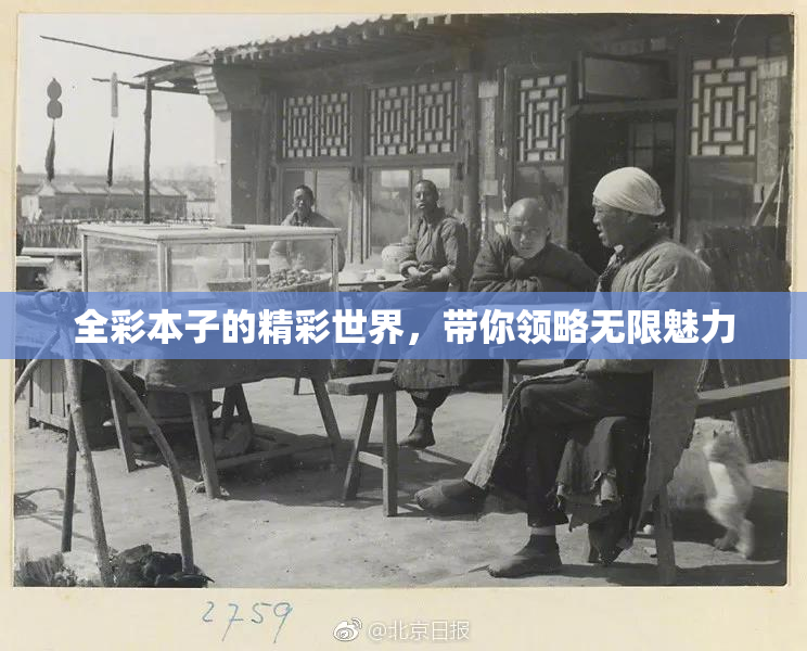 全彩本子的精彩世界，带你领略无限魅力