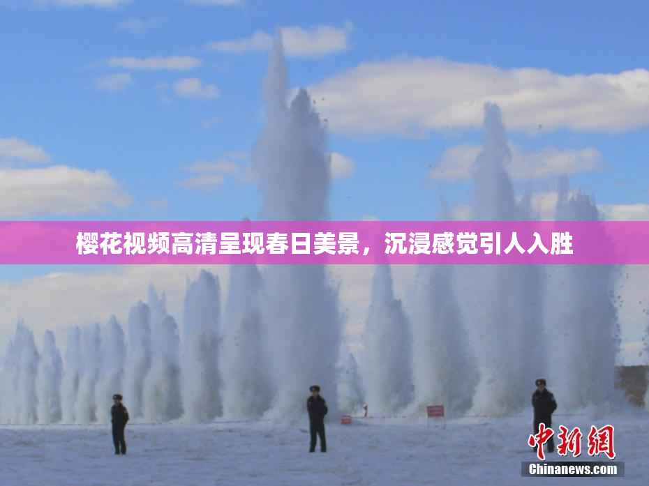 樱花视频高清呈现春日美景，沉浸感觉引人入胜
