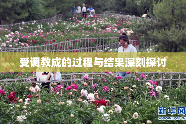 受调教成的过程与结果深刻探讨