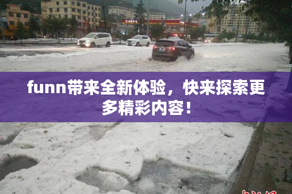 funn带来全新体验，快来探索更多精彩内容！