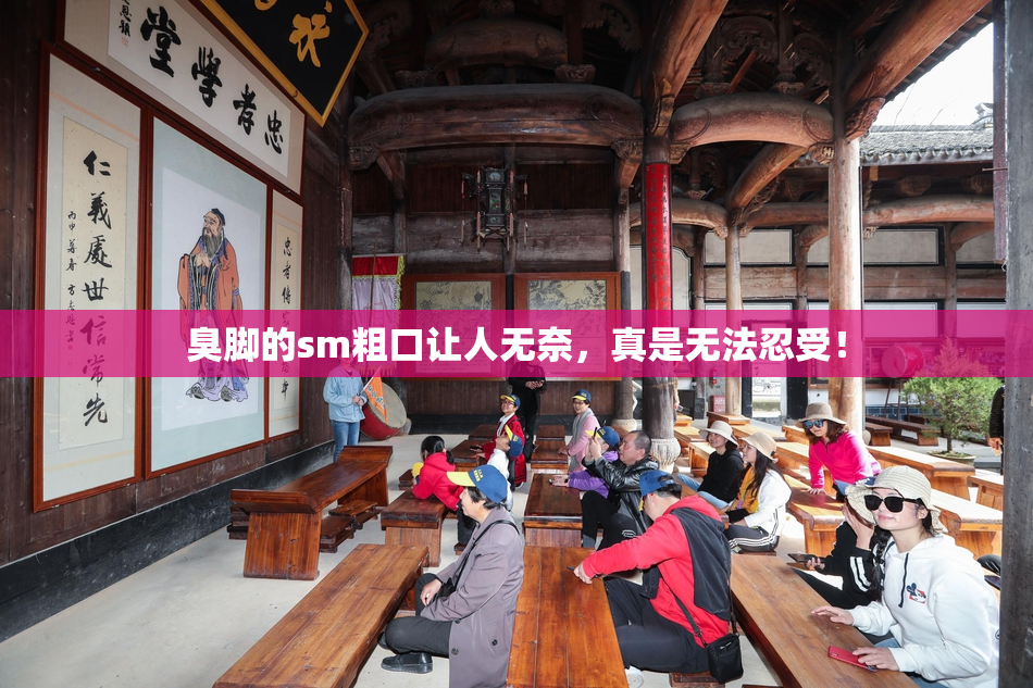 臭脚的sm粗口让人无奈，真是无法忍受！