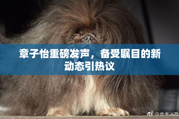 章子怡重磅发声，备受瞩目的新动态引热议