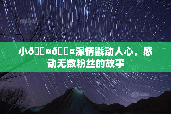 小🐤🐤深情戳动人心，感动无数粉丝的故事