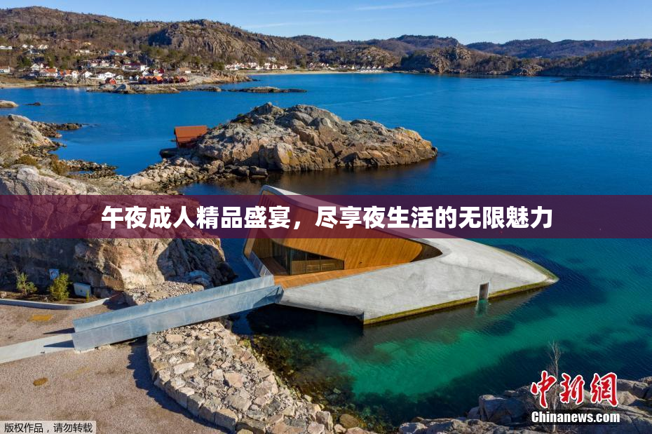 午夜成人精品盛宴，尽享夜生活的无限魅力