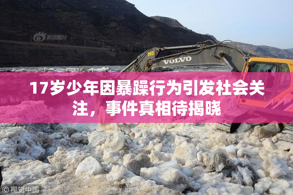 17岁少年因暴躁行为引发社会关注，事件真相待揭晓