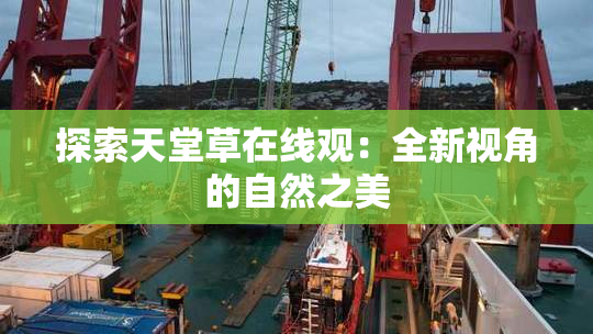 探索天堂草在线观：全新视角的自然之美