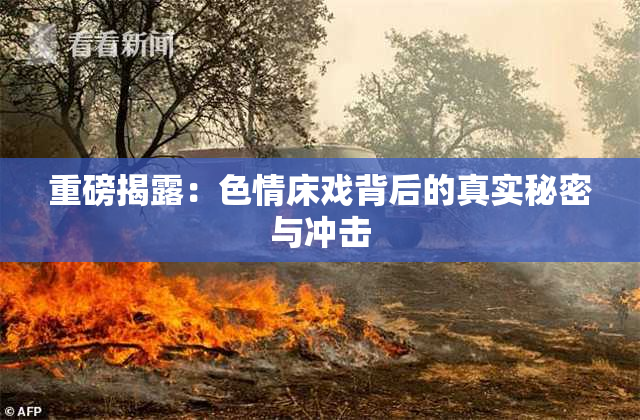 重磅揭露：色情床戏背后的真实秘密与冲击