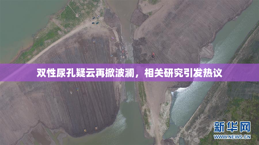 双性尿孔疑云再掀波澜，相关研究引发热议