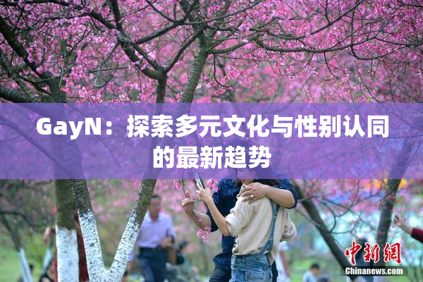 GayN：探索多元文化与性别认同的最新趋势