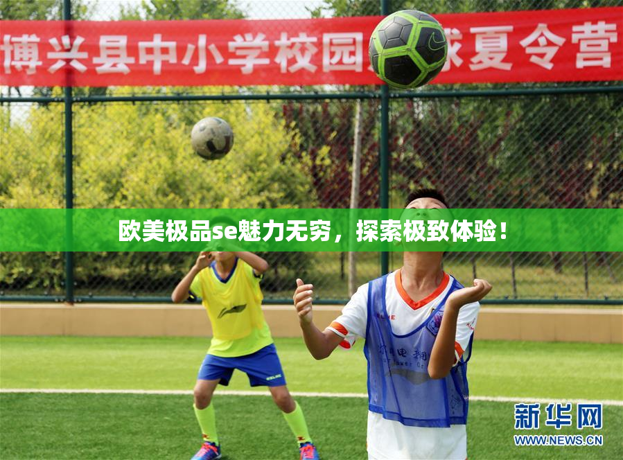 欧美极品se魅力无穷，探索极致体验！