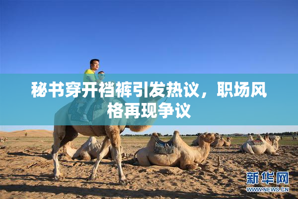 秘书穿开裆裤引发热议，职场风格再现争议