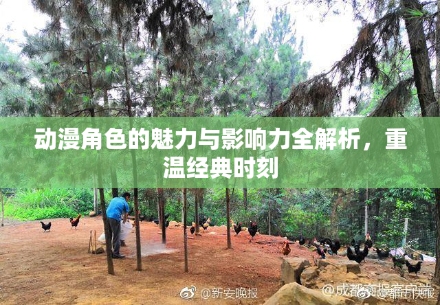 动漫角色的魅力与影响力全解析，重温经典时刻