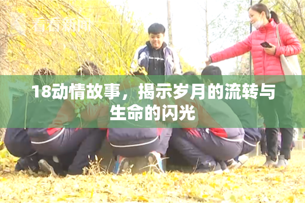 18动情故事，揭示岁月的流转与生命的闪光