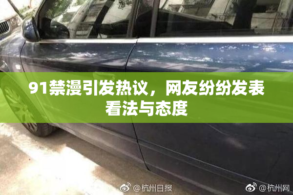 91禁漫引发热议，网友纷纷发表看法与态度
