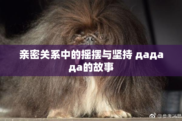 亲密关系中的摇摆与坚持 дададa的故事