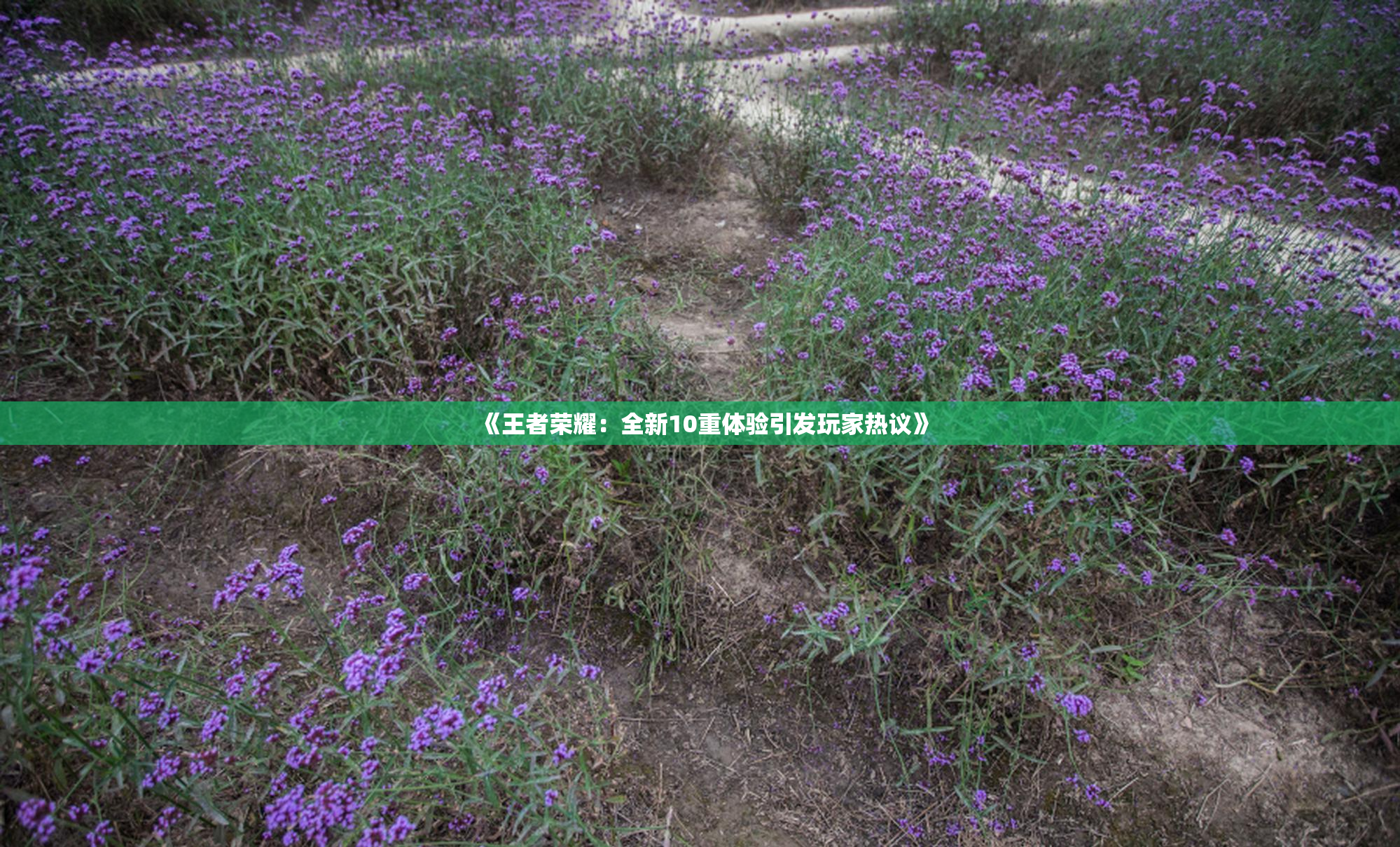 《王者荣耀：全新10重体验引发玩家热议》