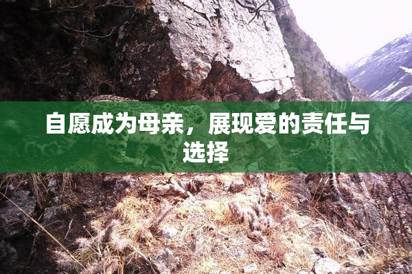 自愿成为母亲，展现爱的责任与选择