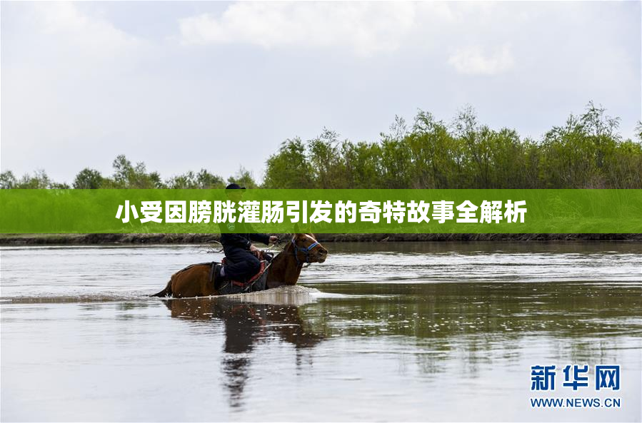小受因膀胱灌肠引发的奇特故事全解析