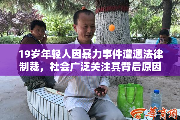 19岁年轻人因暴力事件遭遇法律制裁，社会广泛关注其背后原因