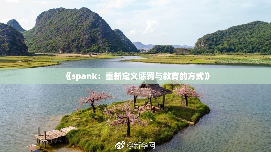《spank：重新定义惩罚与教育的方式》