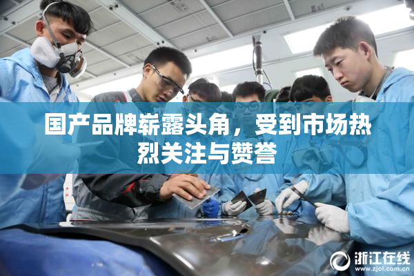 国产品牌崭露头角，受到市场热烈关注与赞誉