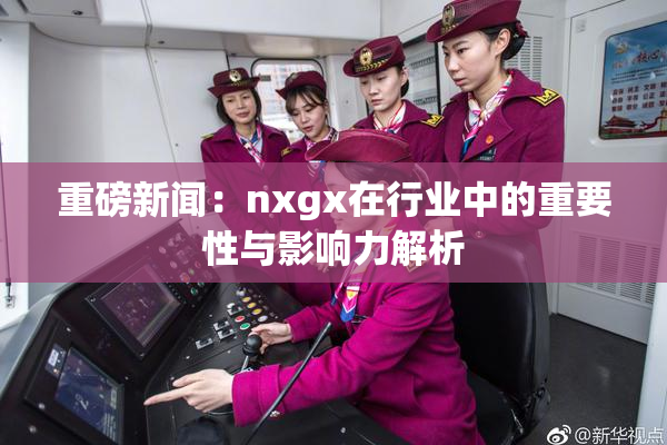 重磅新闻：nxgx在行业中的重要性与影响力解析