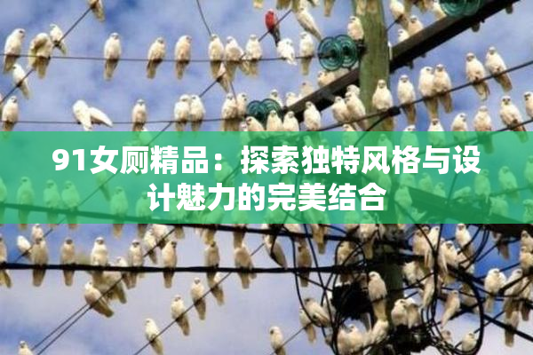 91女厕精品：探索独特风格与设计魅力的完美结合