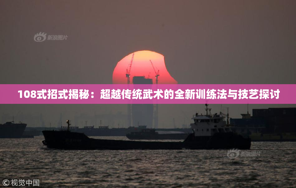 108式招式揭秘：超越传统武术的全新训练法与技艺探讨