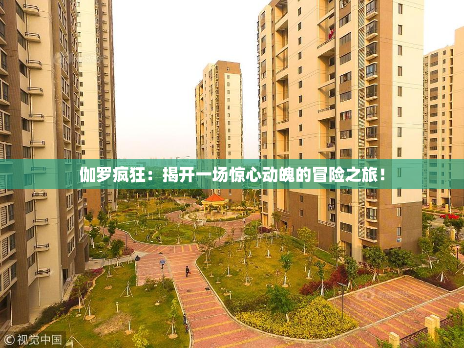 伽罗疯狂：揭开一场惊心动魄的冒险之旅！