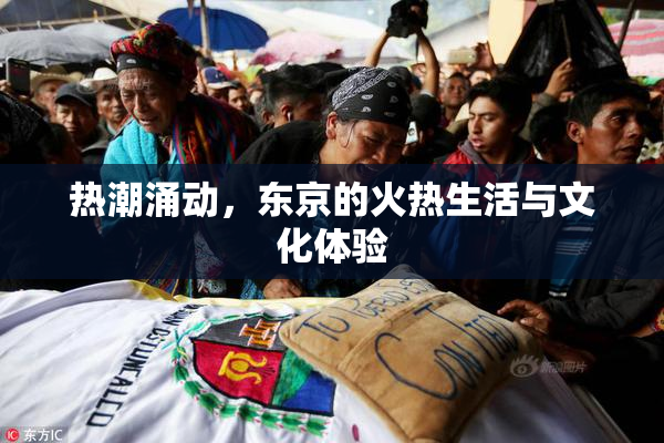热潮涌动，东京的火热生活与文化体验