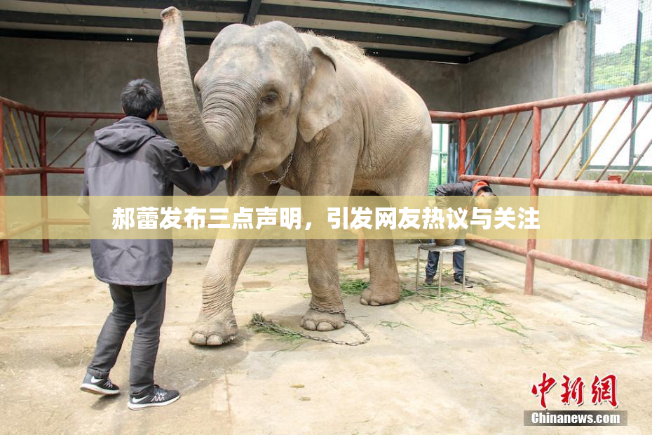 郝蕾发布三点声明，引发网友热议与关注