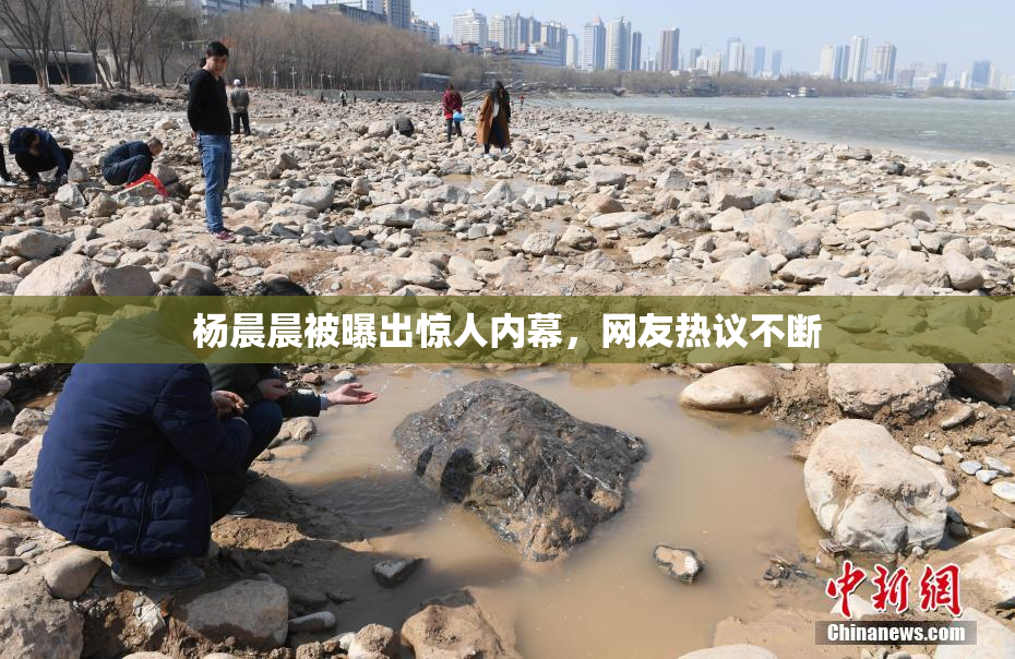杨晨晨被曝出惊人内幕，网友热议不断
