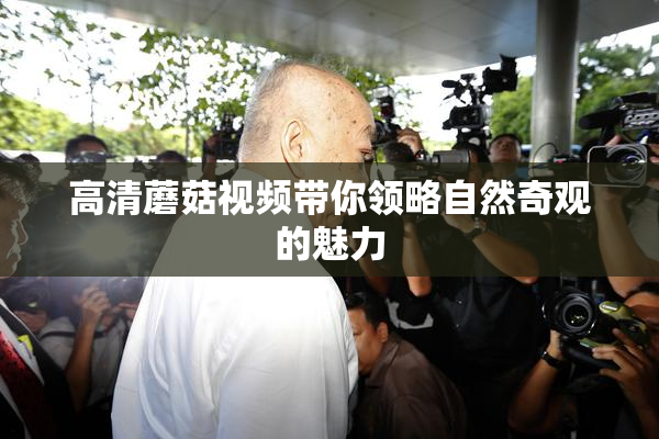 高清蘑菇视频带你领略自然奇观的魅力
