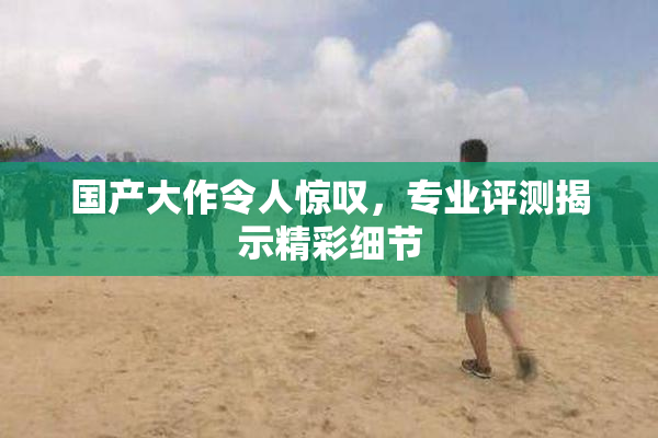 国产大作令人惊叹，专业评测揭示精彩细节