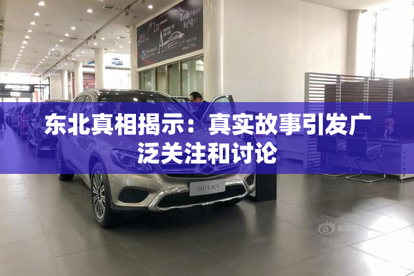 东北真相揭示：真实故事引发广泛关注和讨论