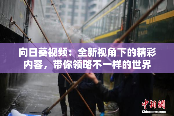 向日葵视频：全新视角下的精彩内容，带你领略不一样的世界