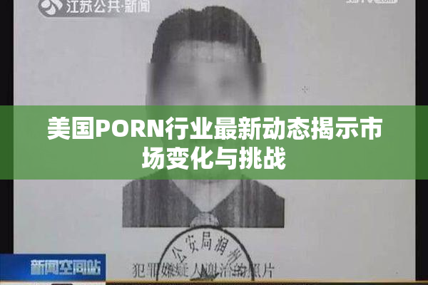 美国PORN行业最新动态揭示市场变化与挑战