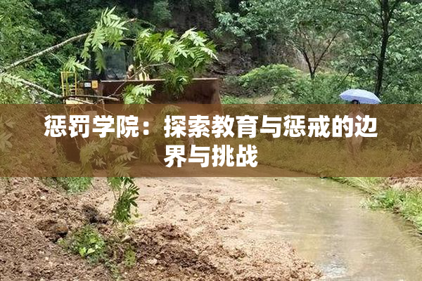 惩罚学院：探索教育与惩戒的边界与挑战