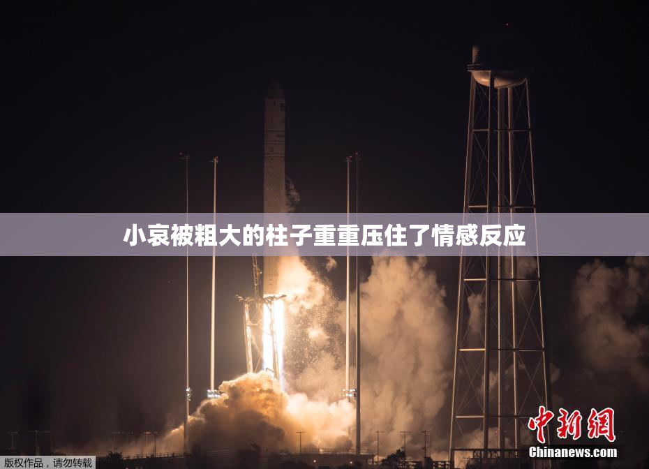 小哀被粗大的柱子重重压住了情感反应