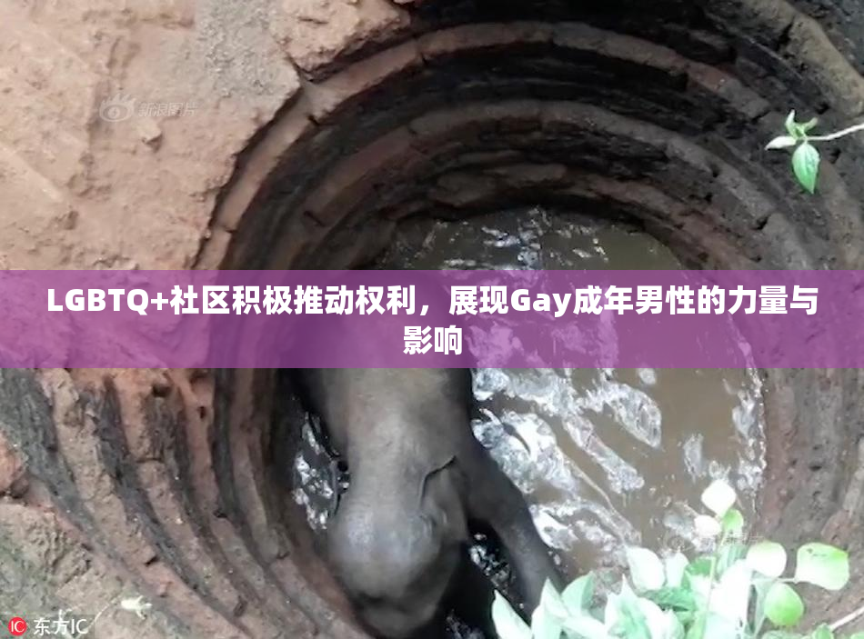 LGBTQ+社区积极推动权利，展现Gay成年男性的力量与影响