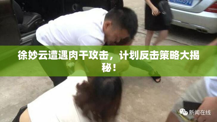 徐妙云遭遇肉干攻击，计划反击策略大揭秘！
