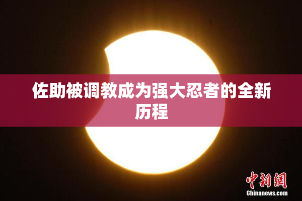 佐助被调教成为强大忍者的全新历程