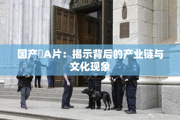 国产婬A片：揭示背后的产业链与文化现象