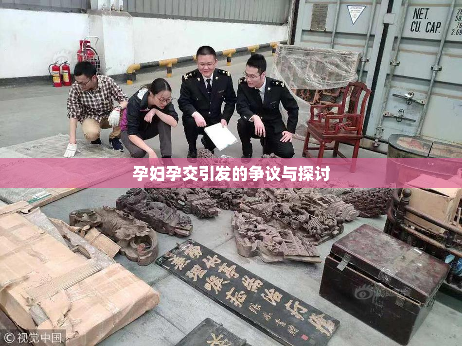 孕妇孕交引发的争议与探讨