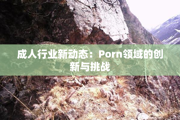 成人行业新动态：Porn领域的创新与挑战